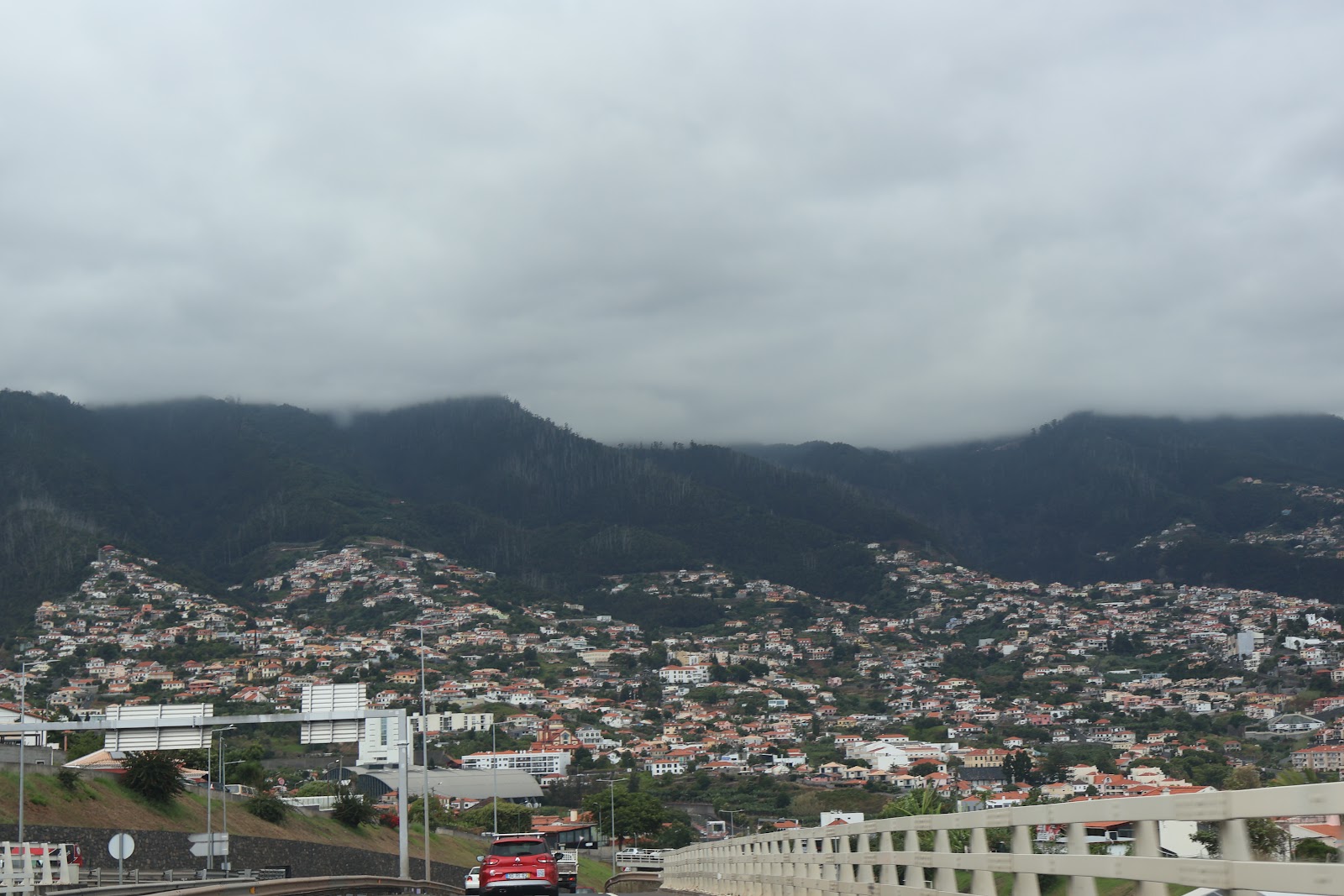 Madeira, beeld 299