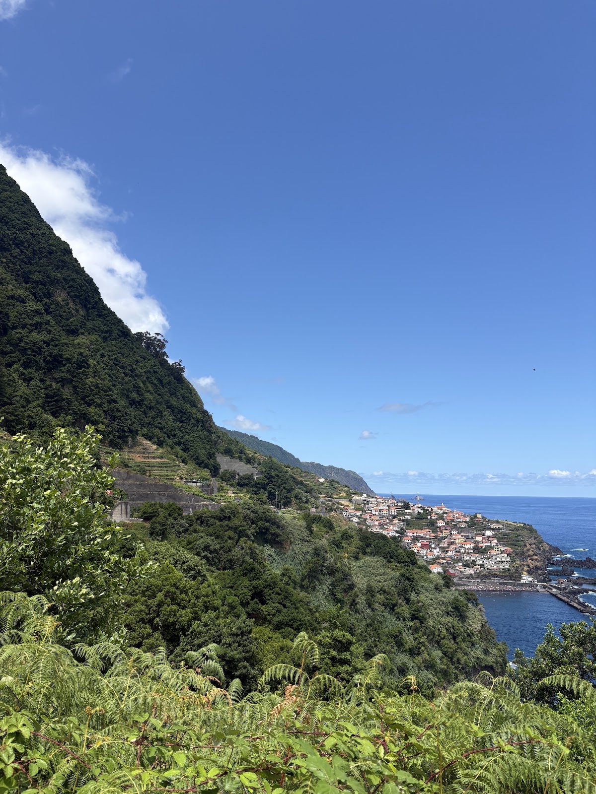 Madeira, beeld 326