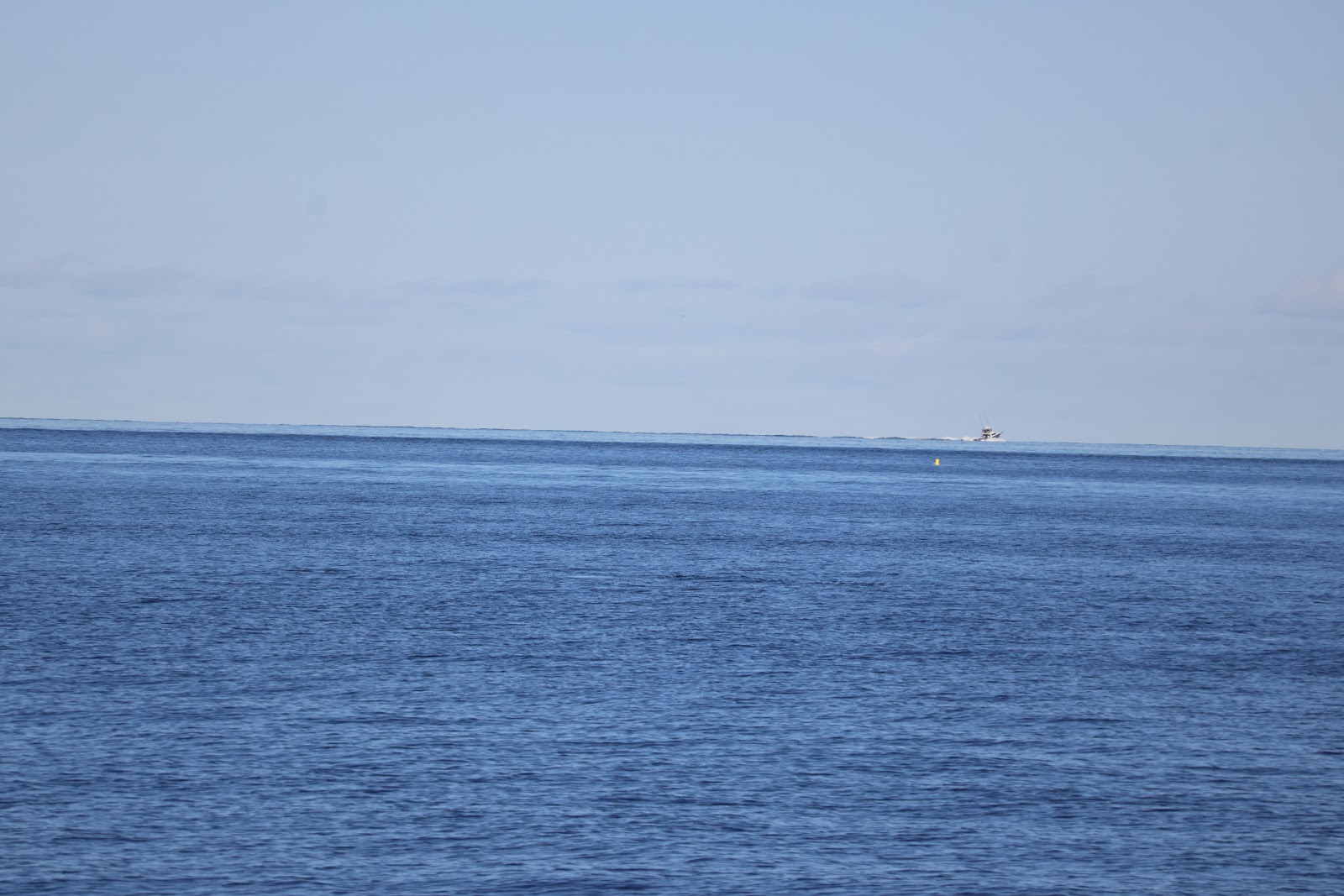 Madeira, beeld 279