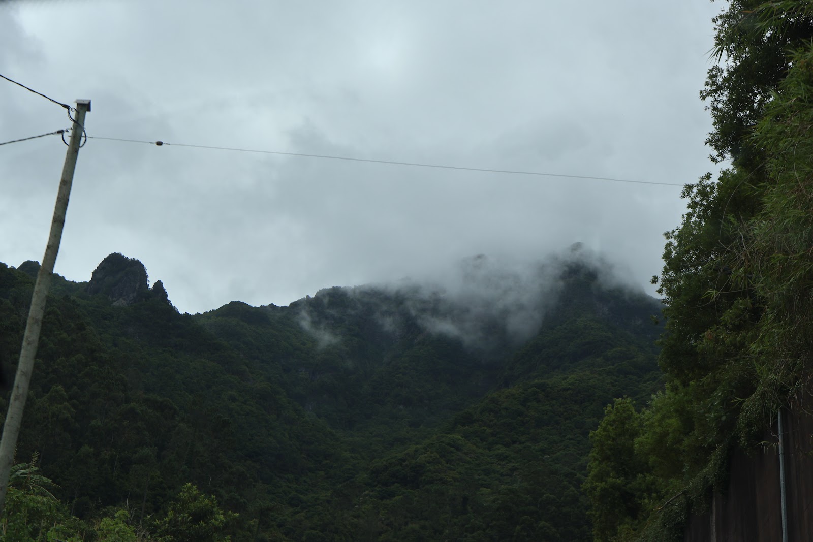 Madeira, beeld 309