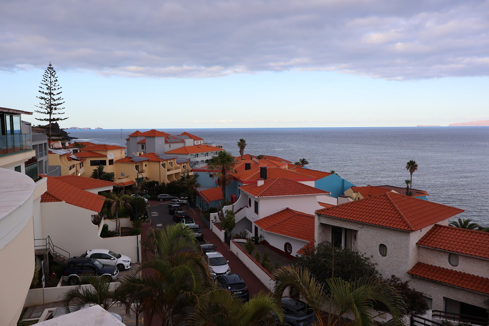 Madeira, beeld 290