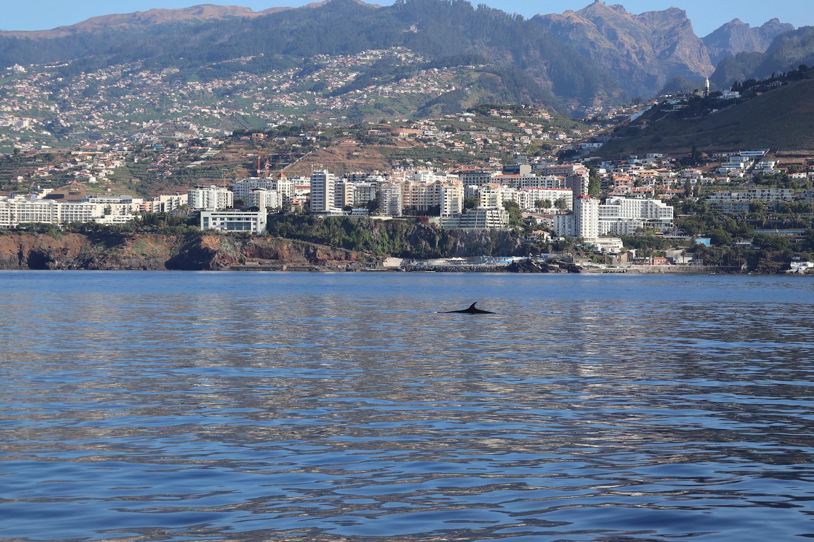 Madeira, beeld 257
