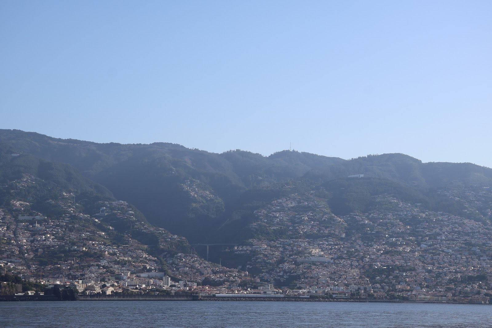 Madeira, beeld 267
