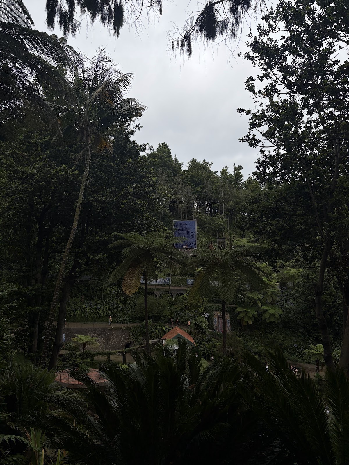 Caniço
