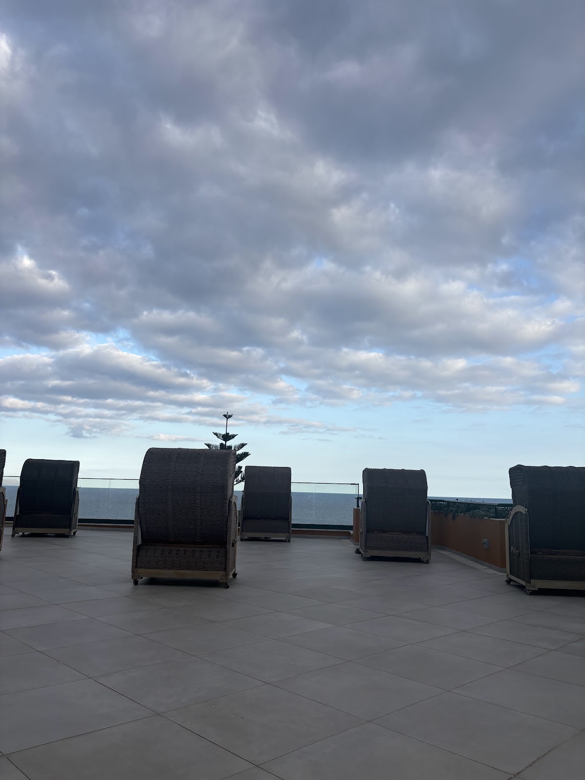 Madeira, beeld 295