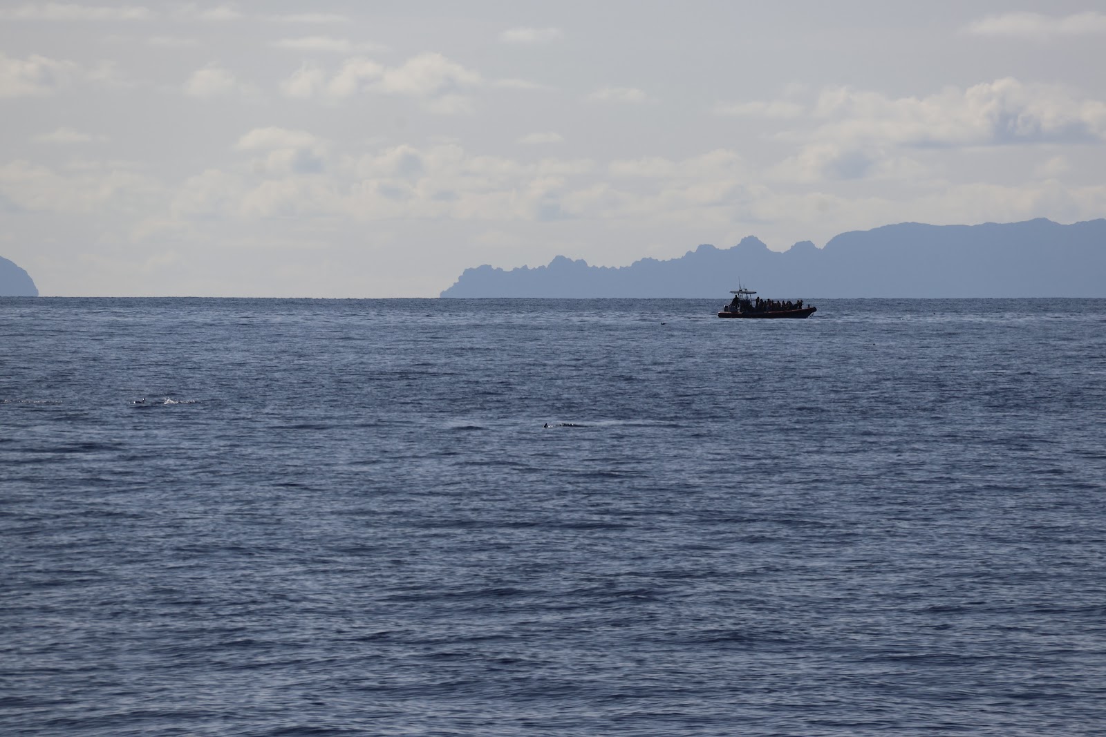 Madeira, beeld 247