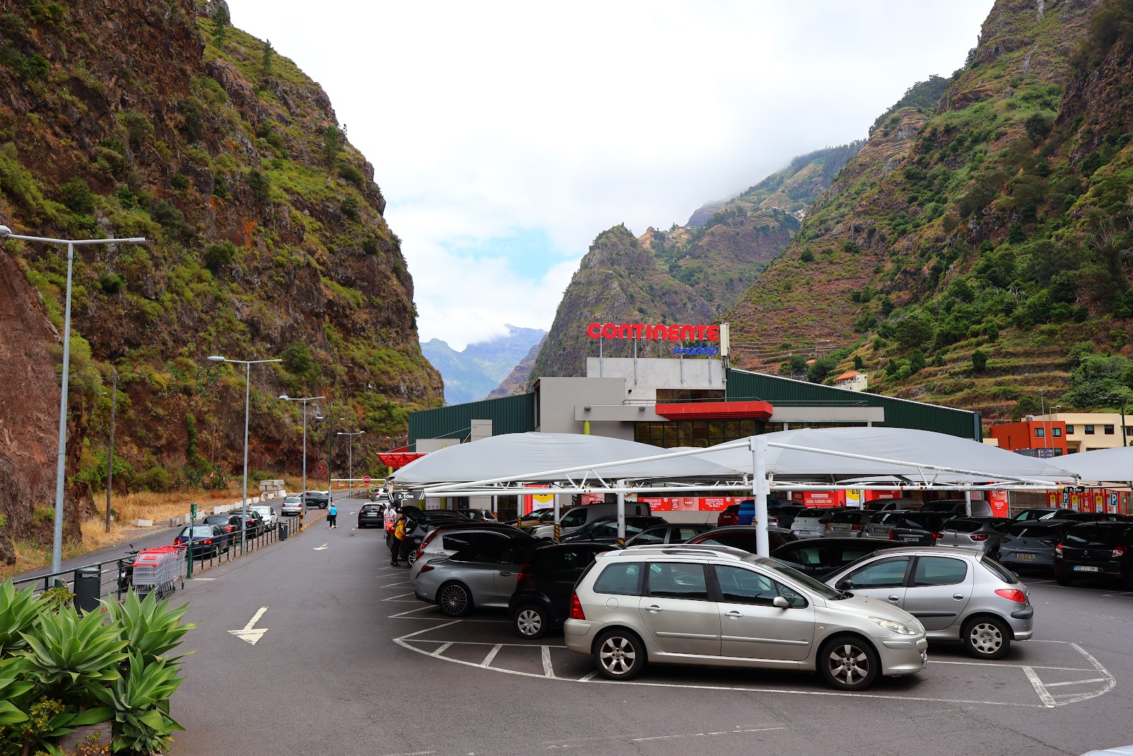Madeira, beeld 301