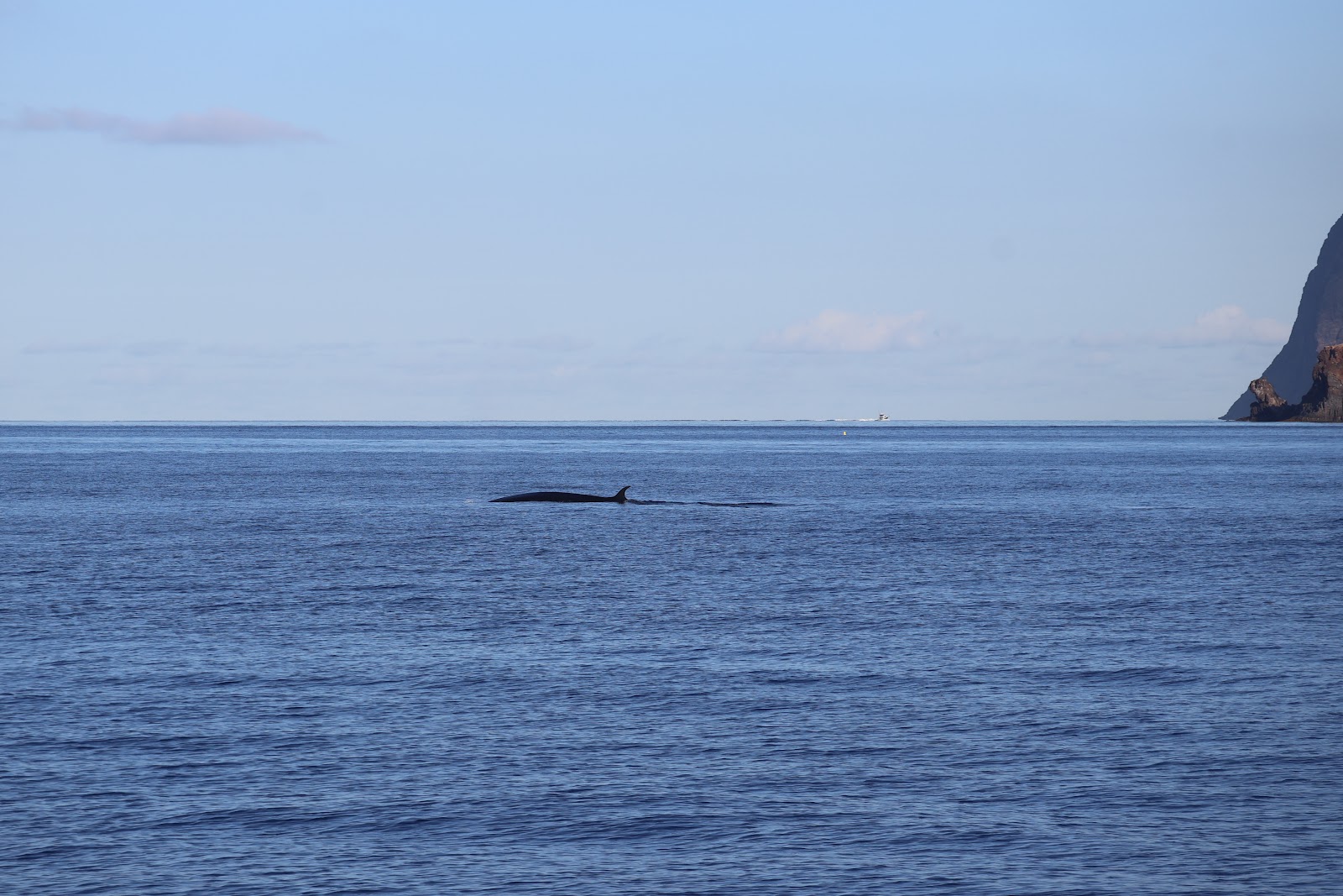 Madeira, beeld 277