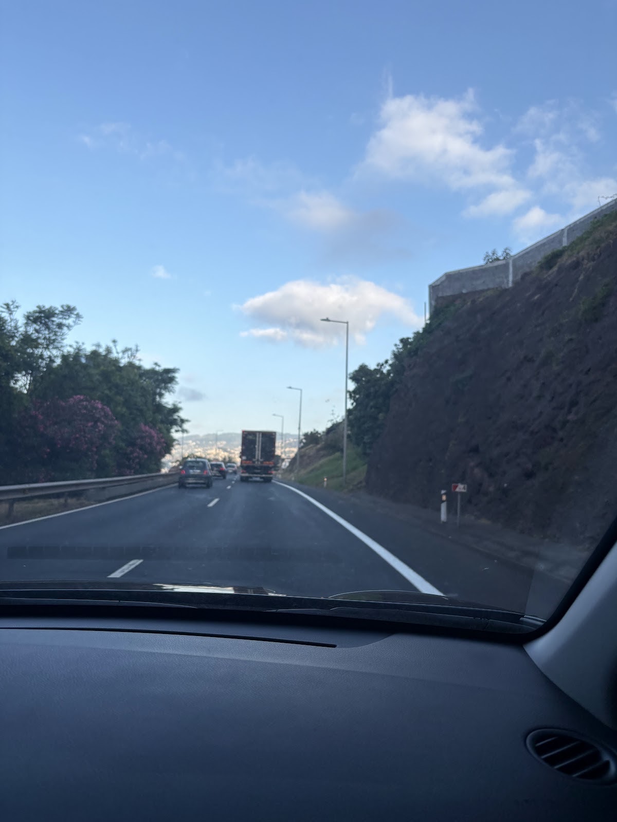 Madeira, beeld 362