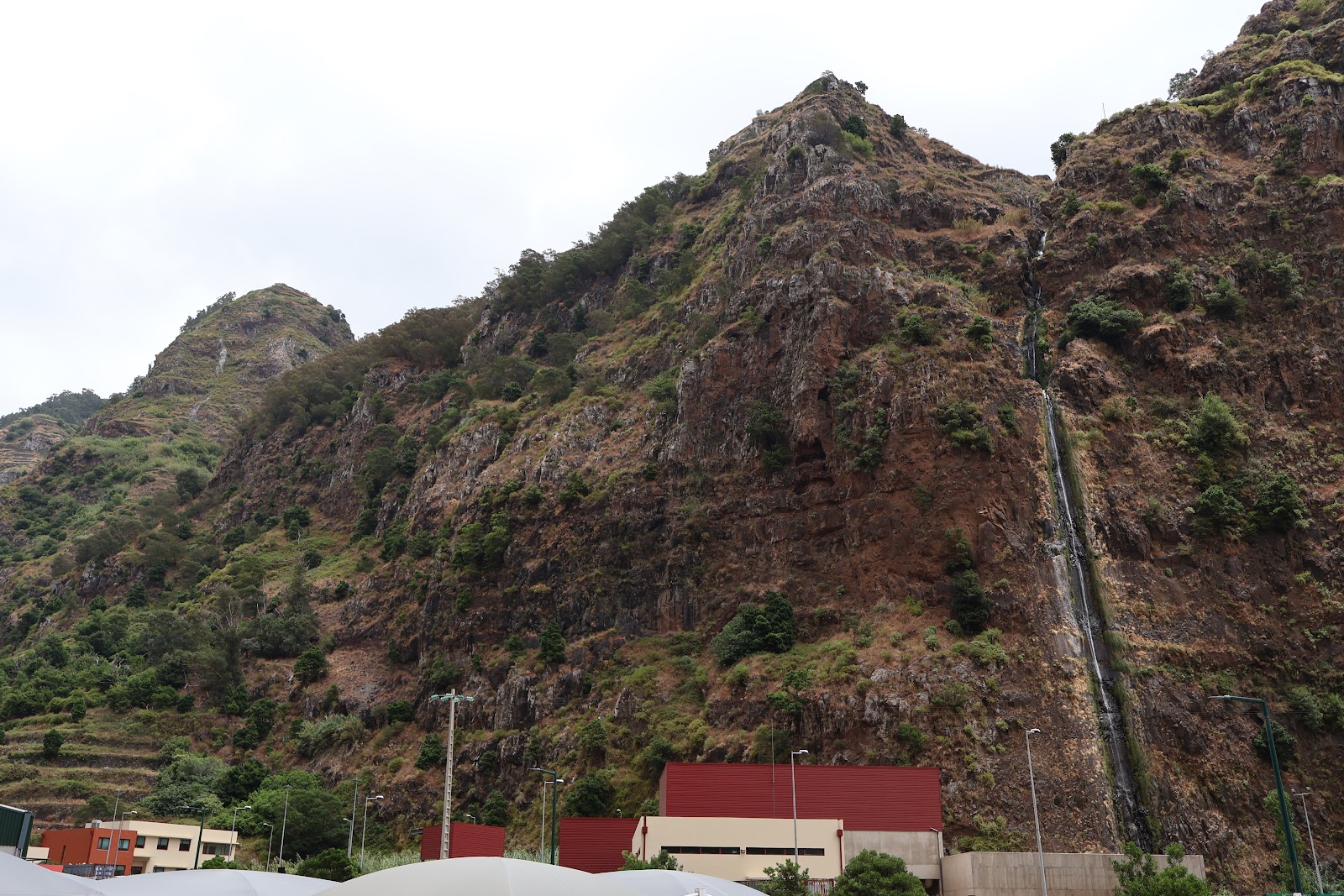 Madeira, beeld 302
