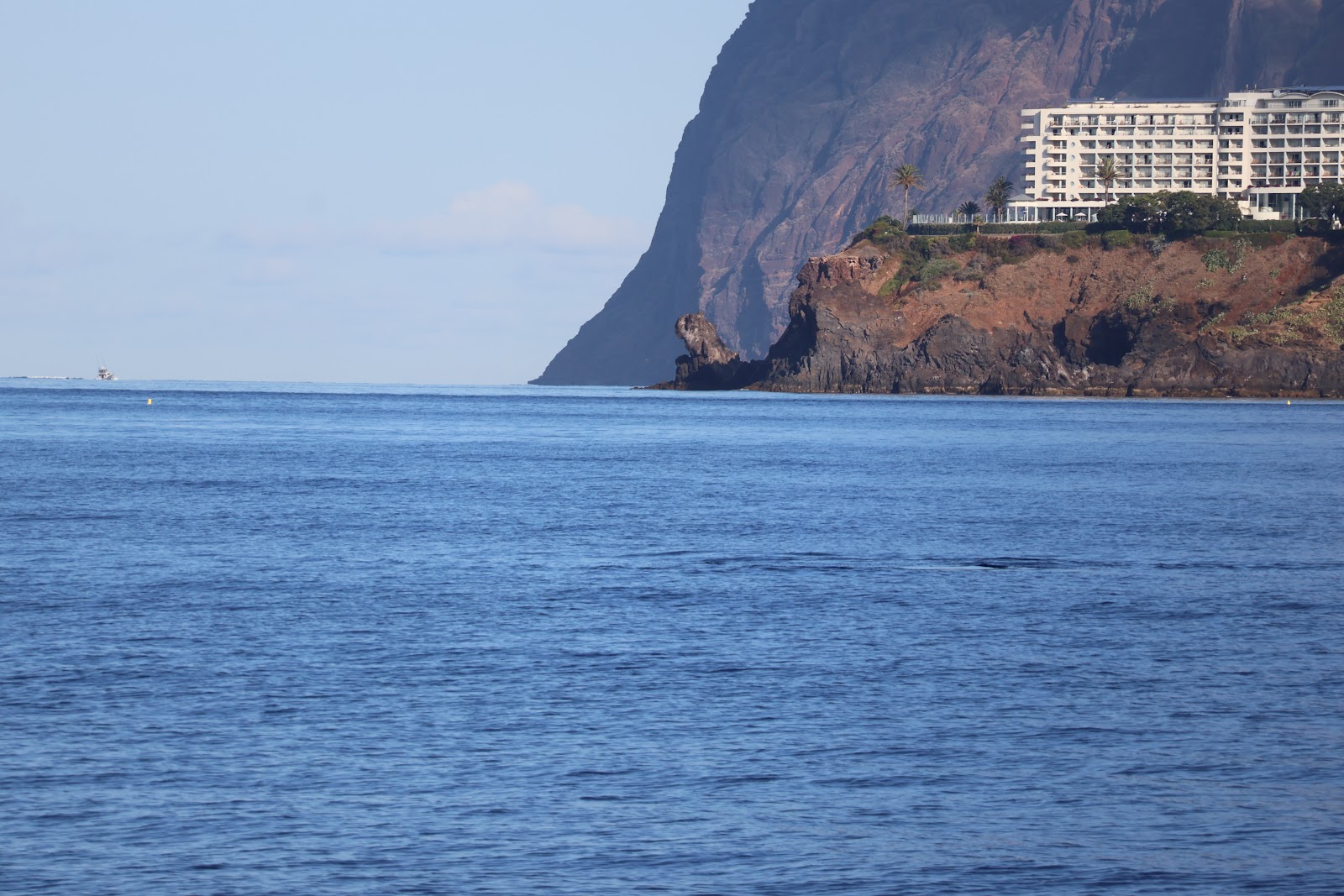 Madeira, beeld 273