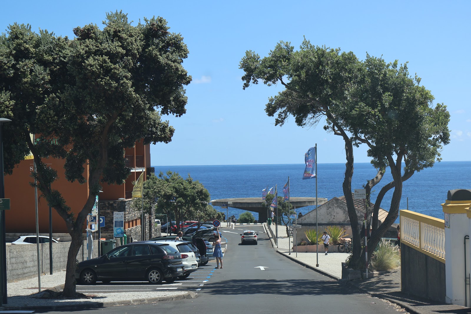 Madeira, beeld 316