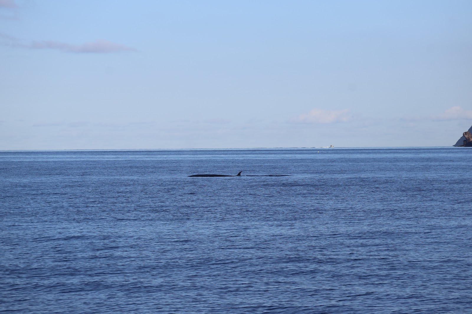 Madeira, beeld 278