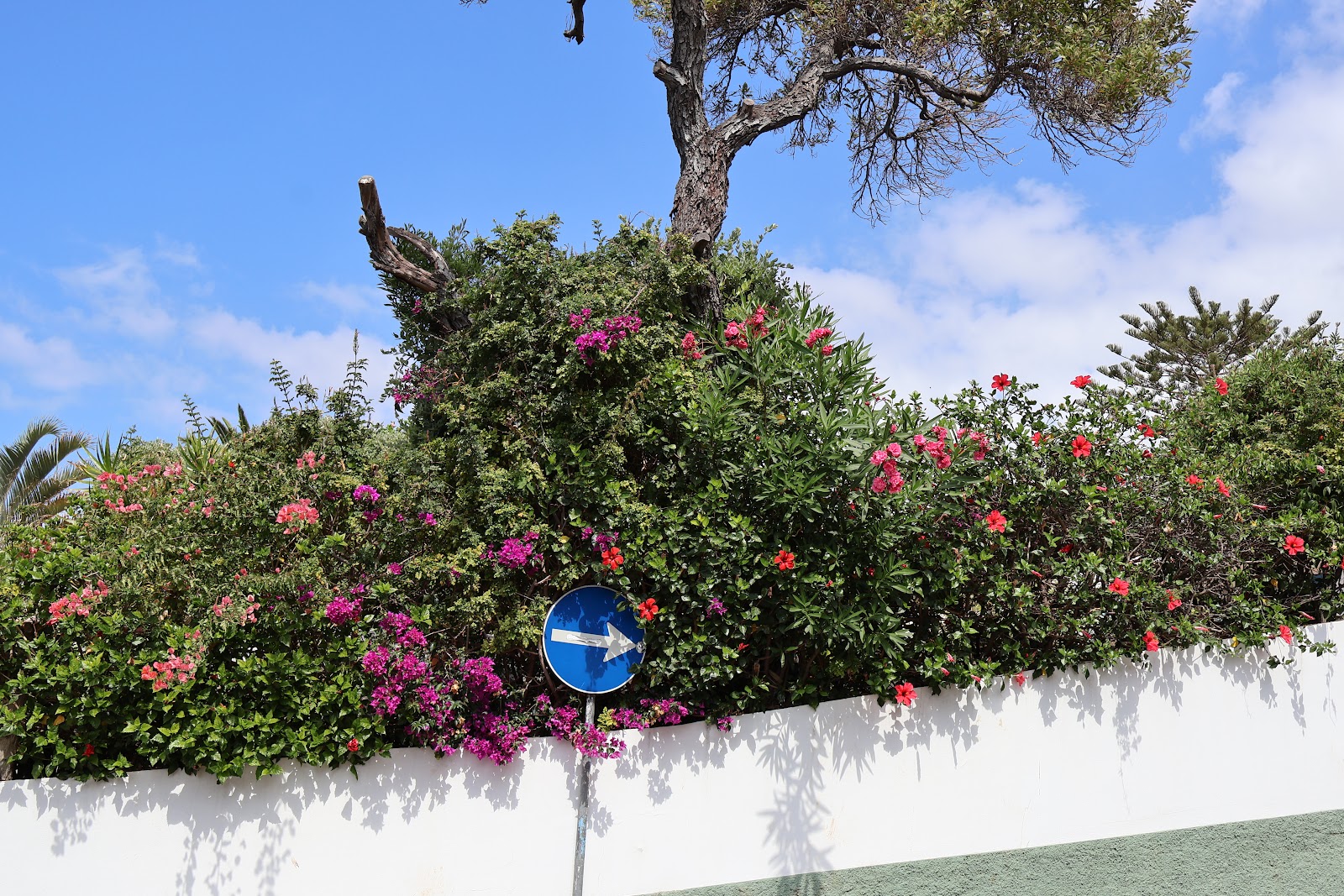 Op weg naar Madeira🌴🌺🩷, beeld 5