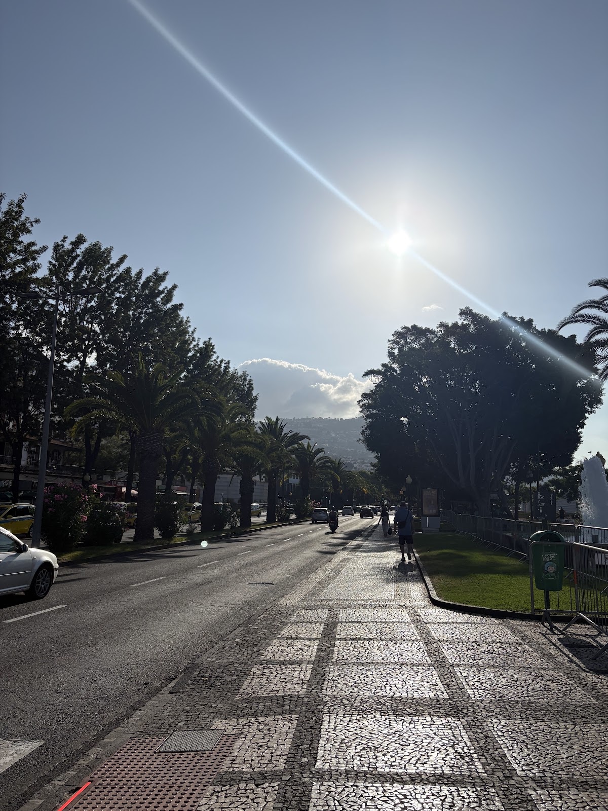 Madeira, beeld 359