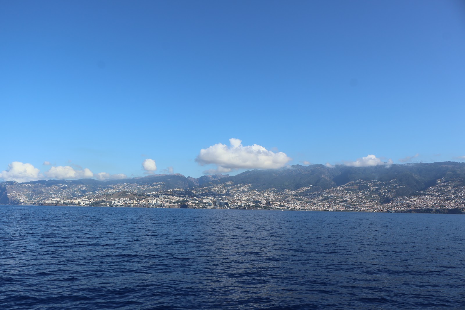 Madeira, beeld 253