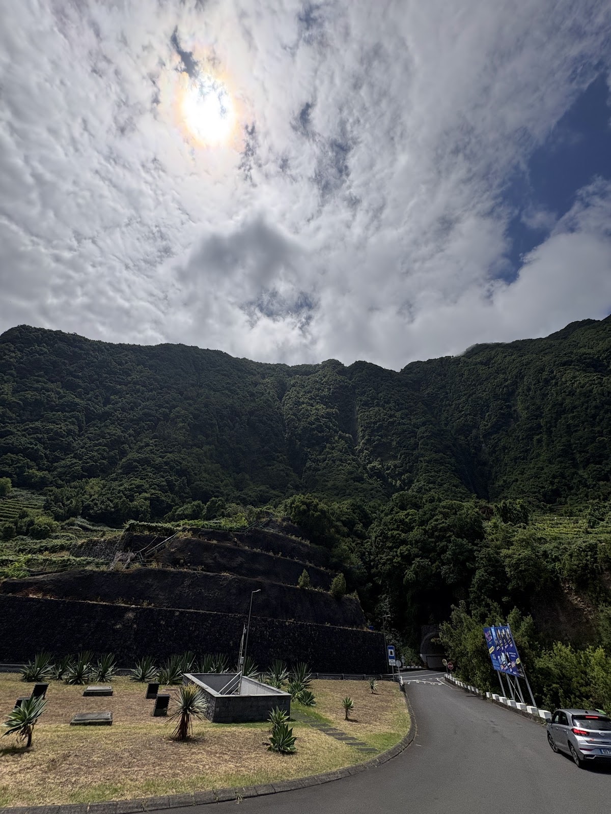 Madeira, beeld 325