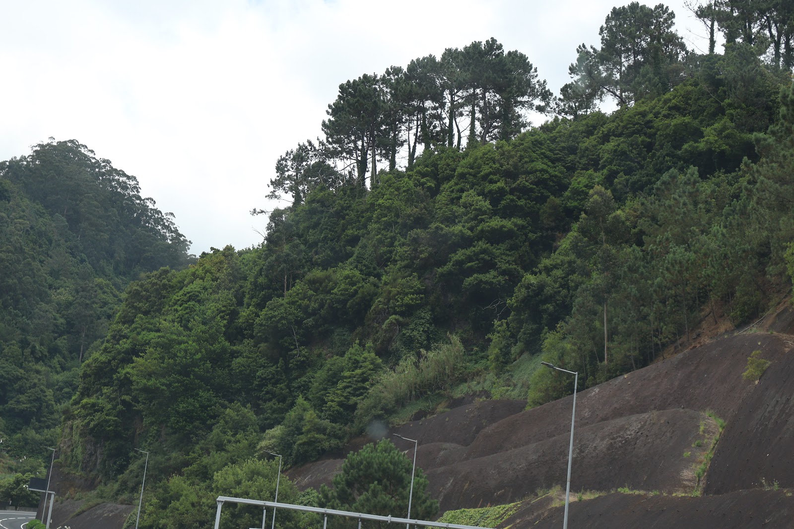 Rondrijden door Madeira, beeld 7