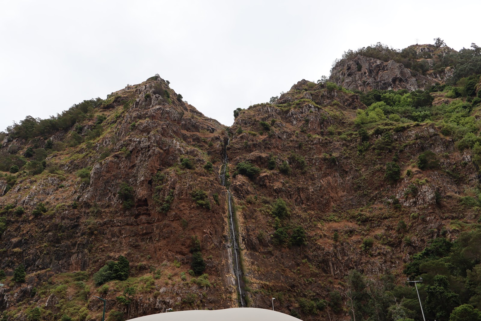 Madeira, beeld 306