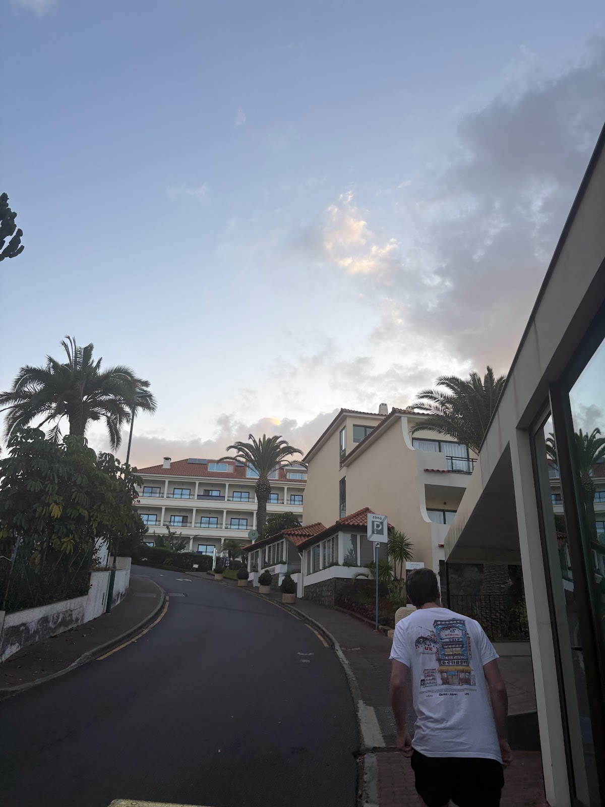 Madeira, beeld 366