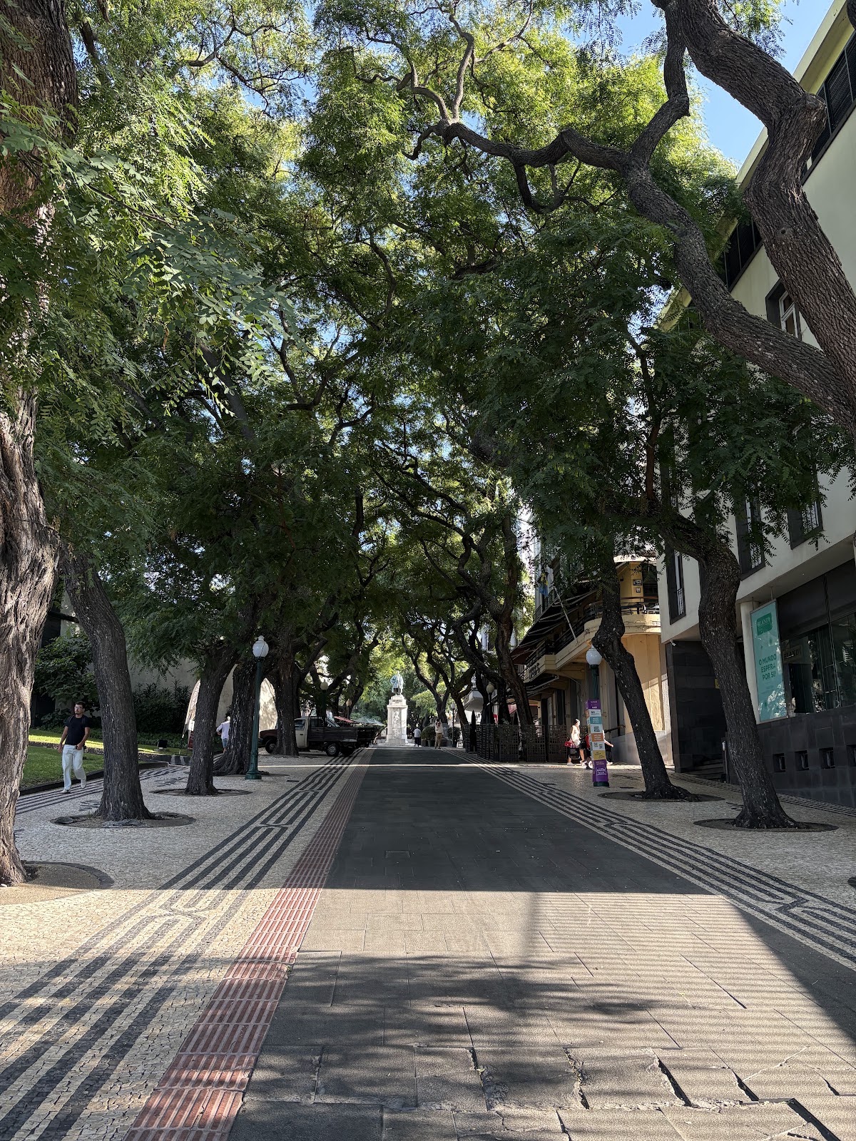 Madeira, beeld 358