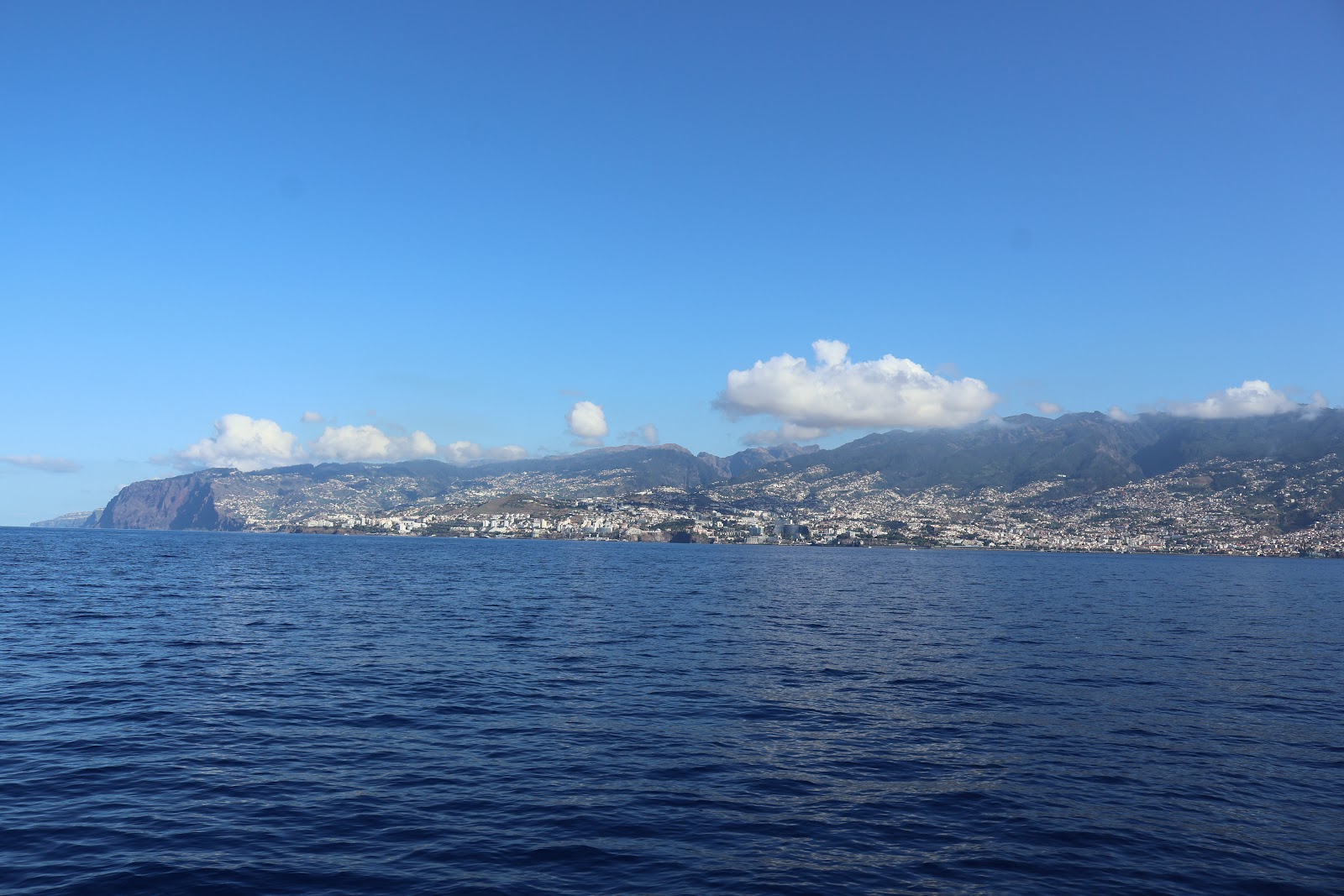 Madeira, beeld 252