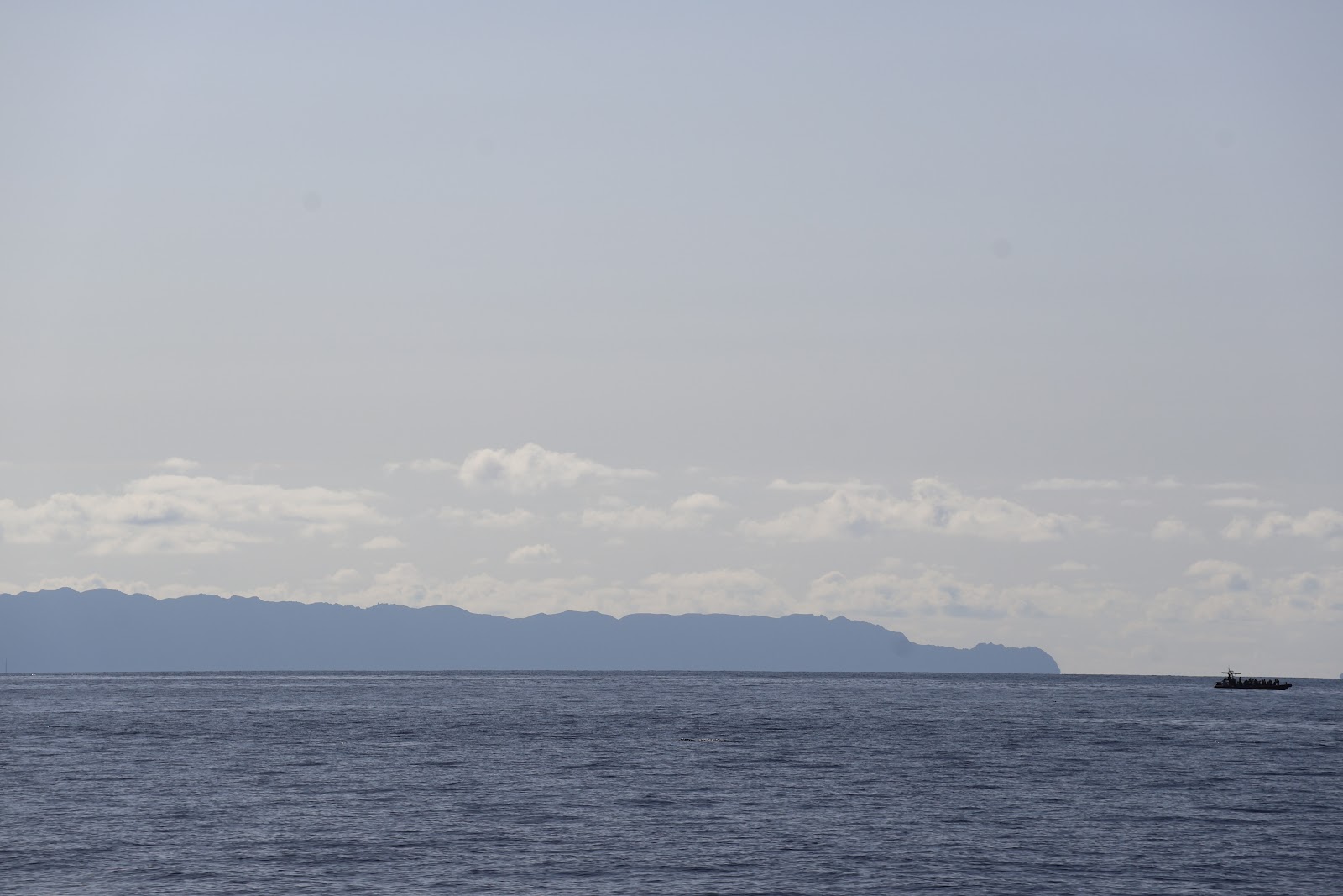 Madeira, beeld 249