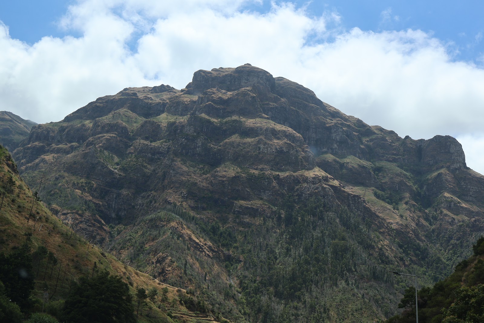 Madeira, beeld 308