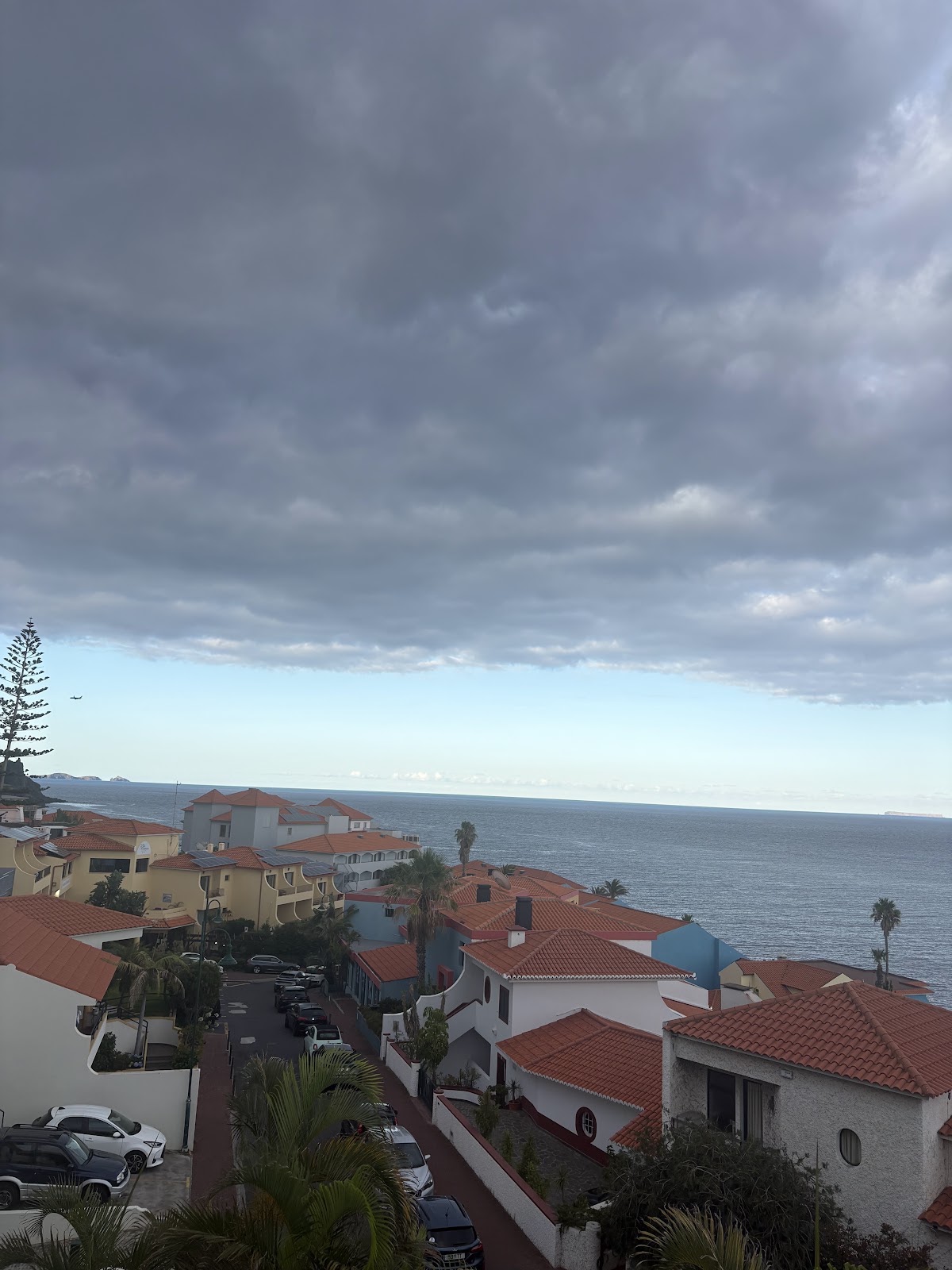 Madeira, beeld 296