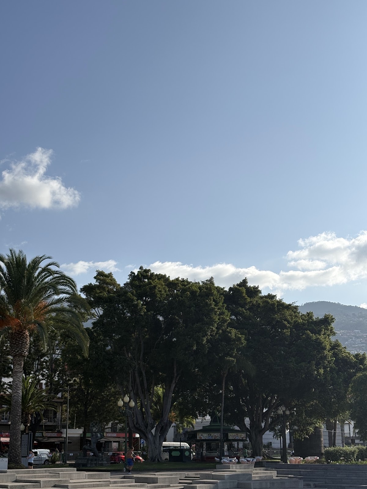 Madeira, beeld 361
