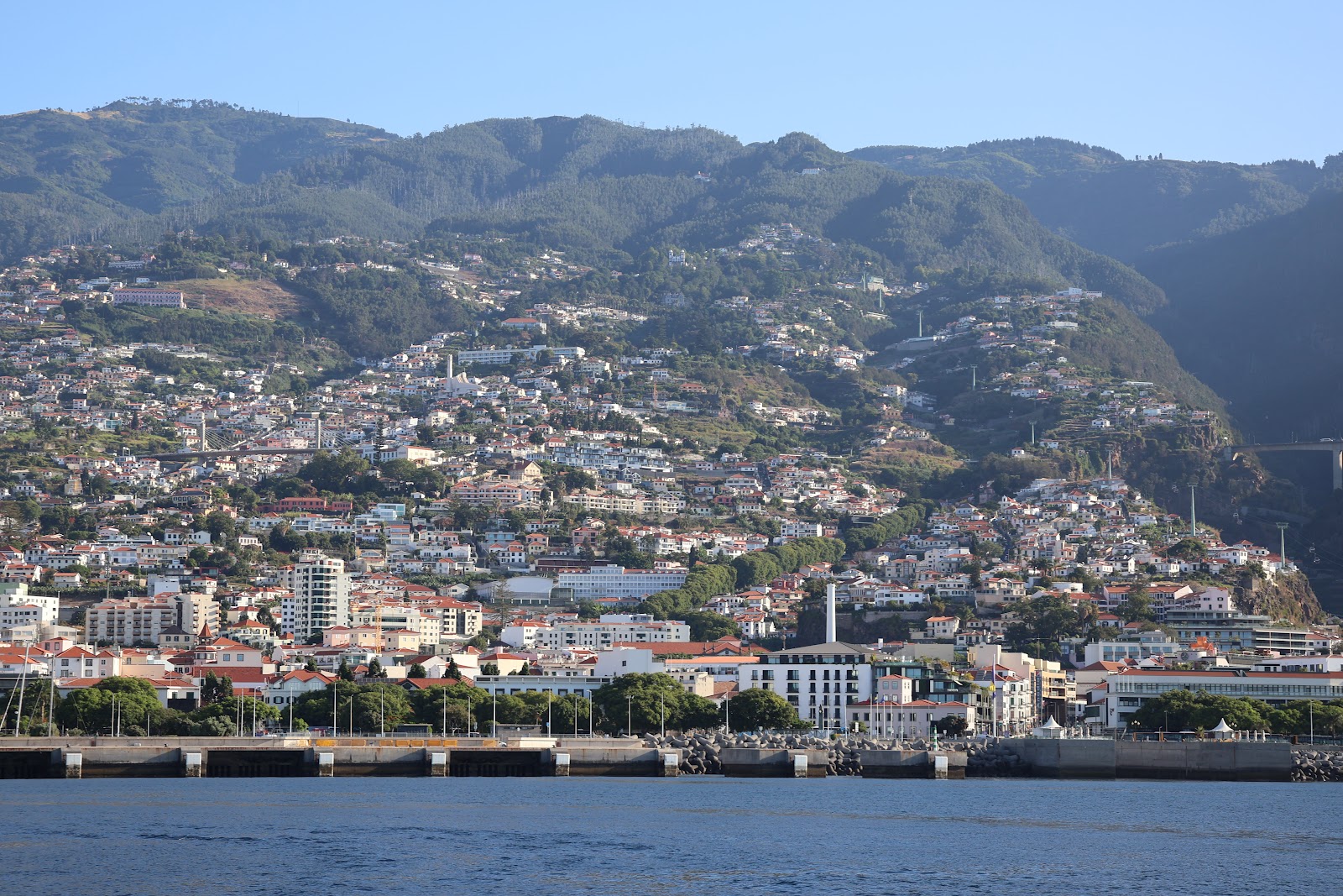 Madeira, beeld 284