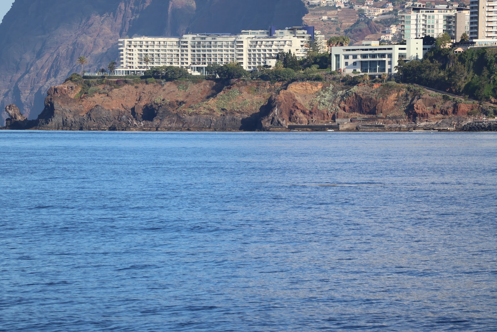 Madeira, beeld 272