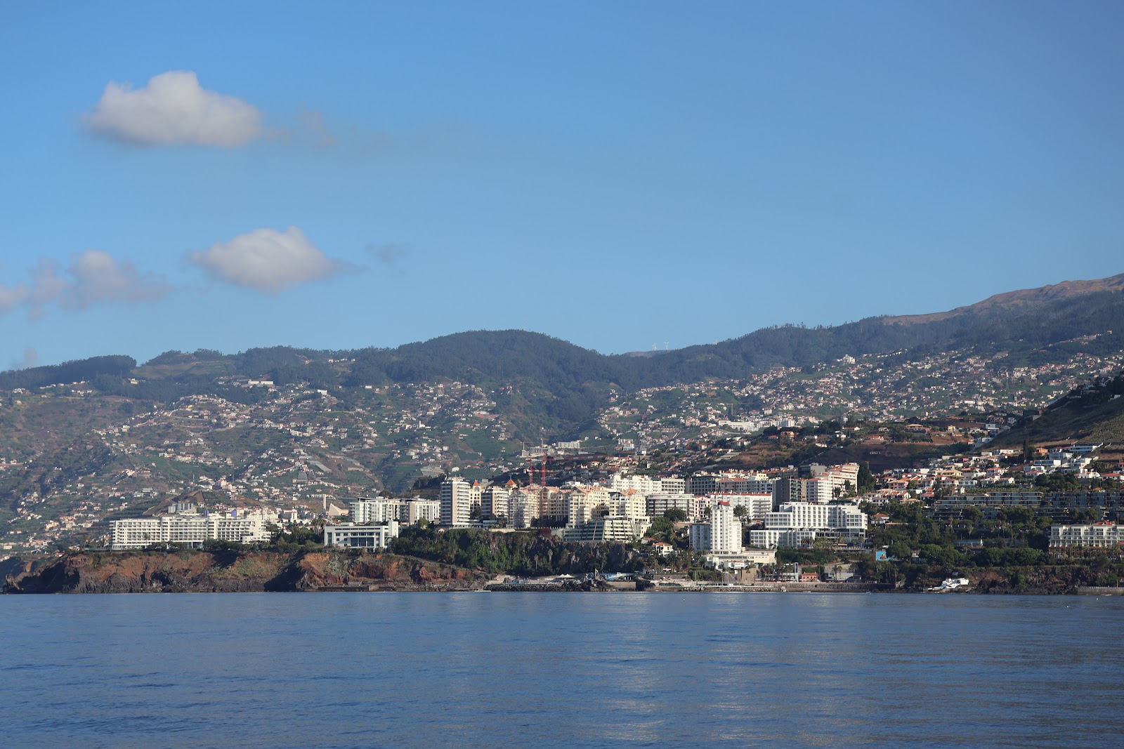 Madeira, beeld 268
