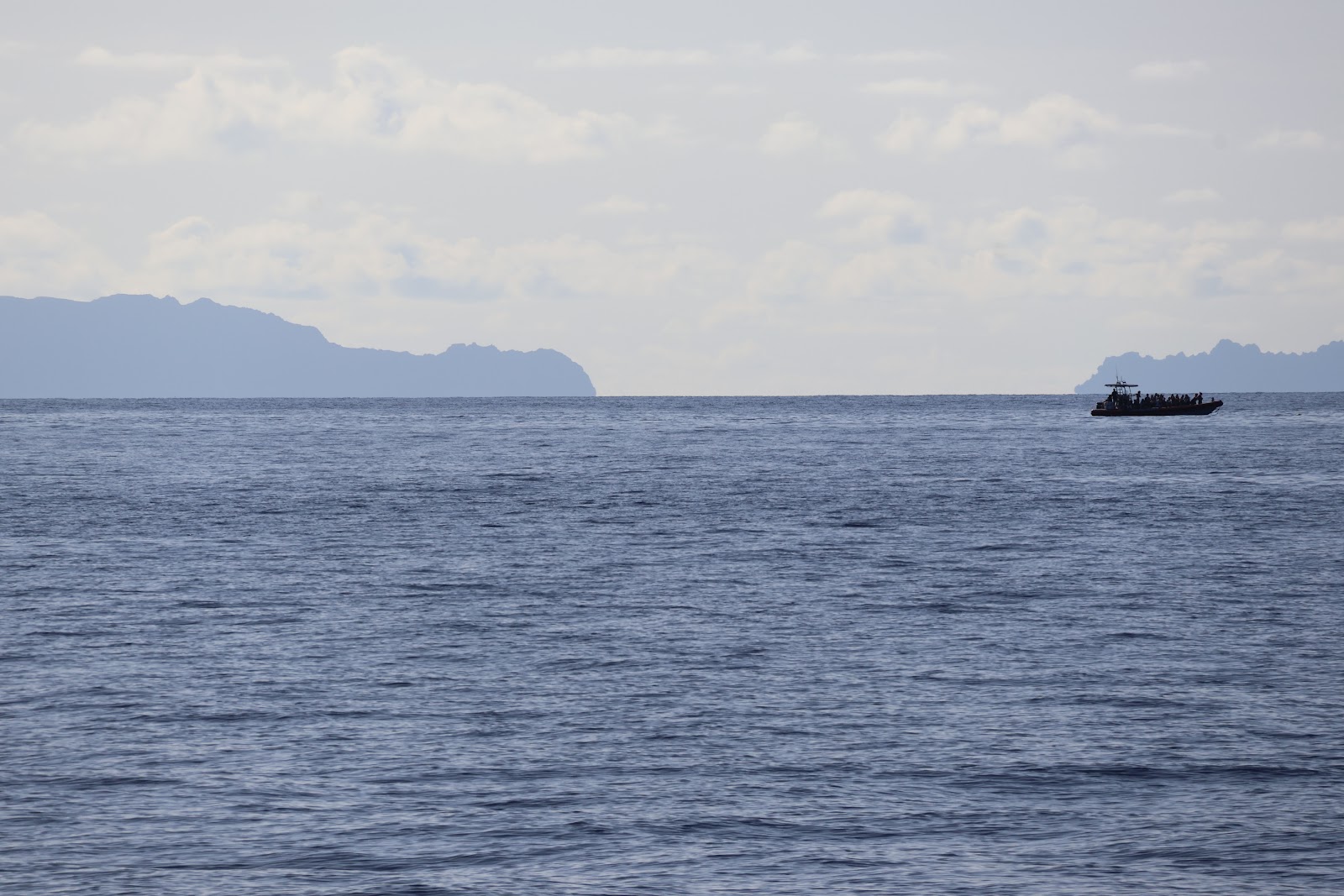 Madeira, beeld 248