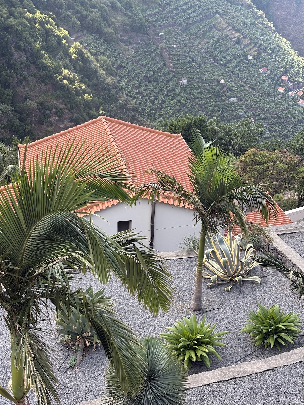 Madeira, beeld 341