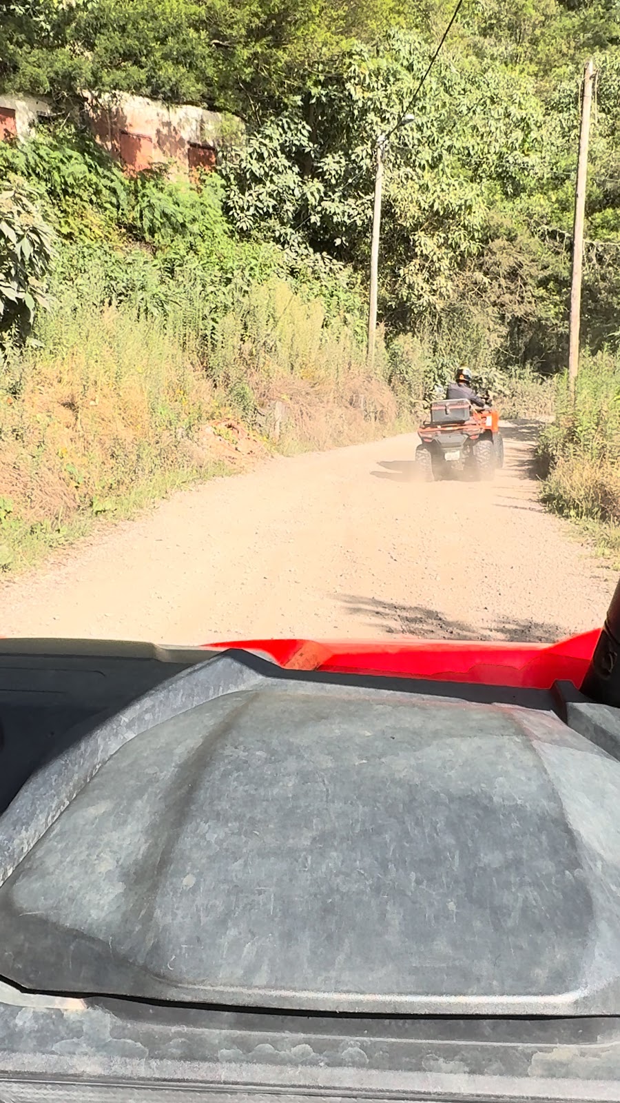Off road buggy rijden, beeld 2