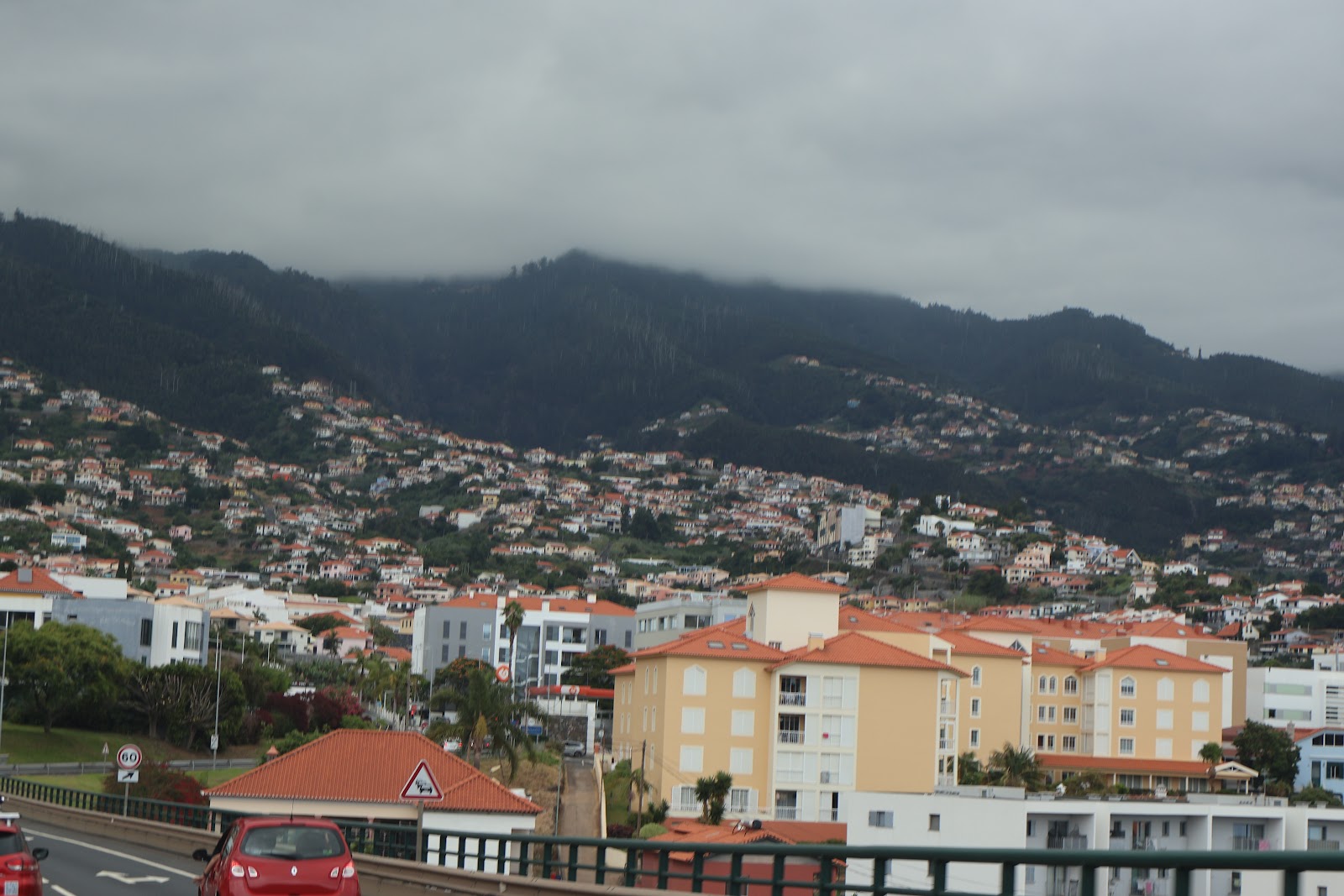 Madeira, beeld 298