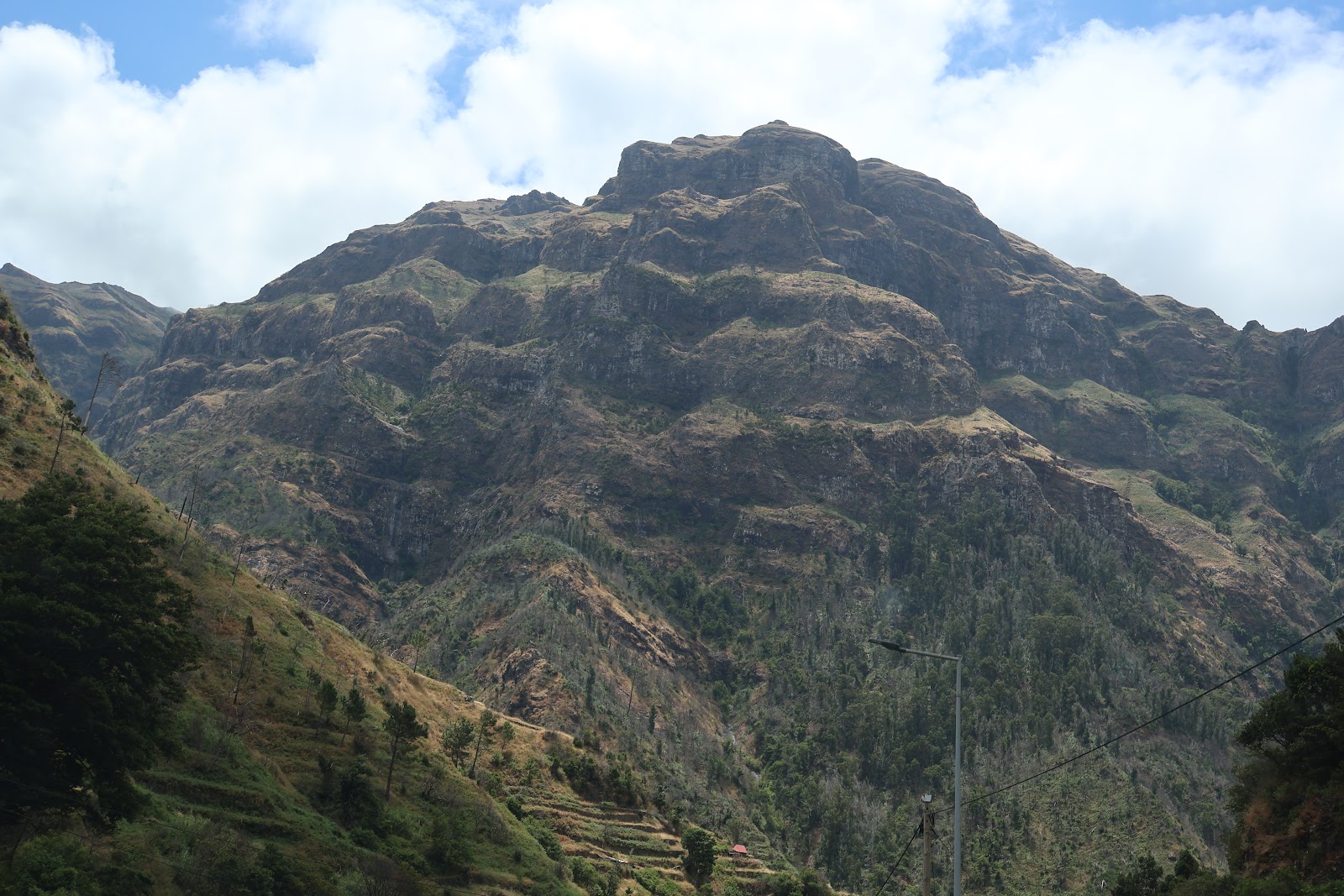 Madeira, beeld 307