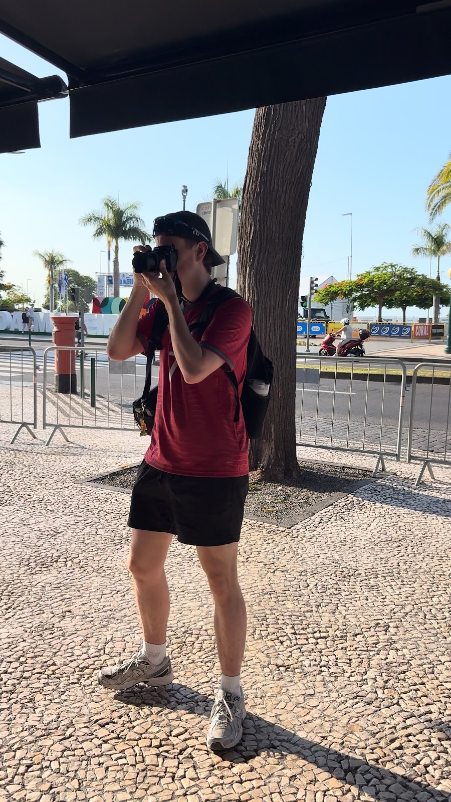 Madeira, beeld 352