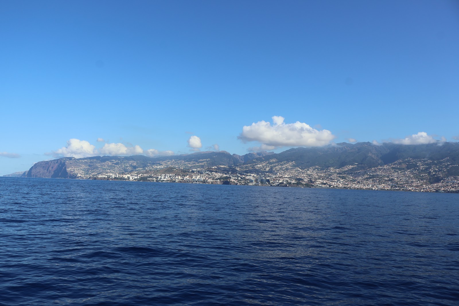 Madeira, beeld 251