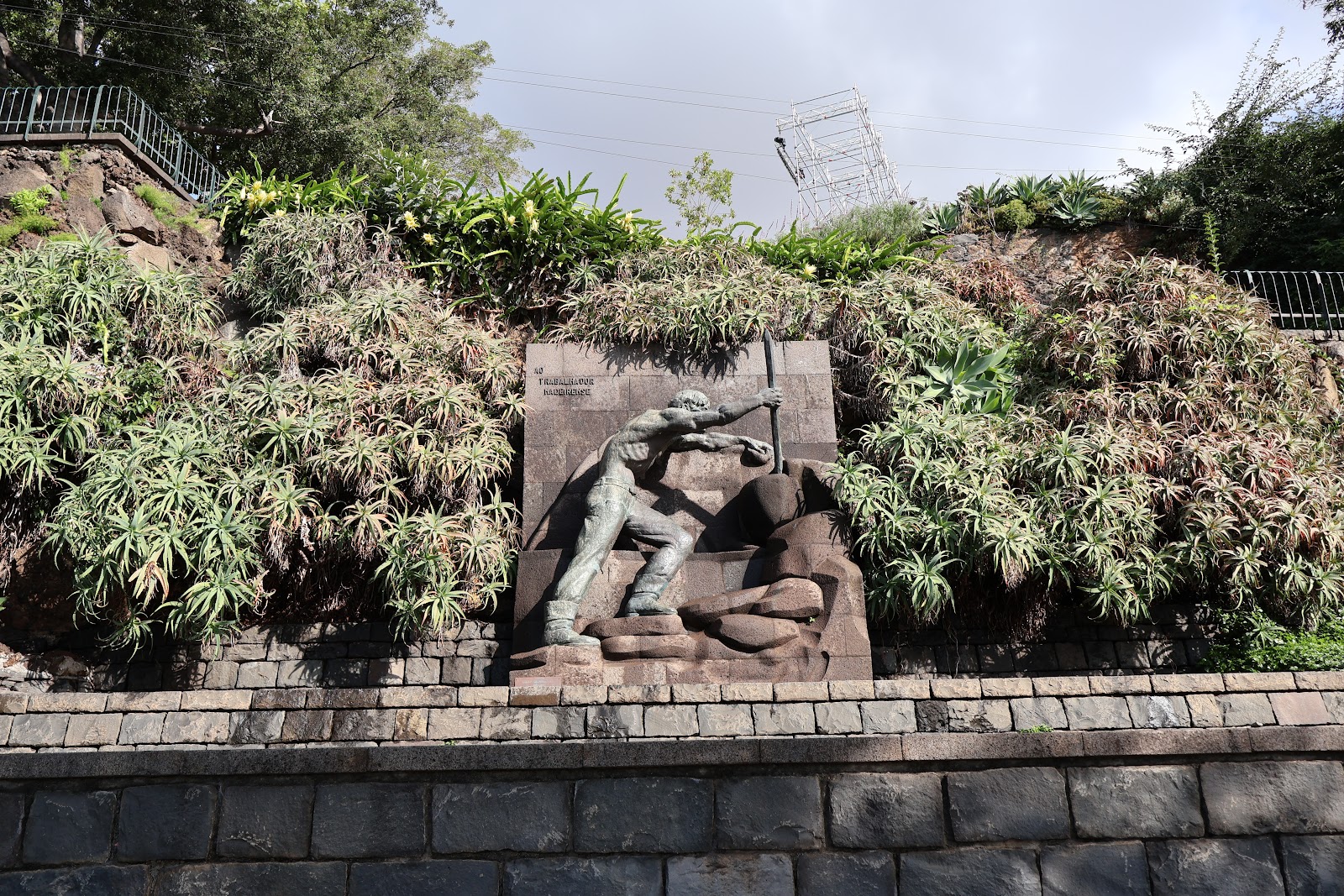 Madeira, beeld 340