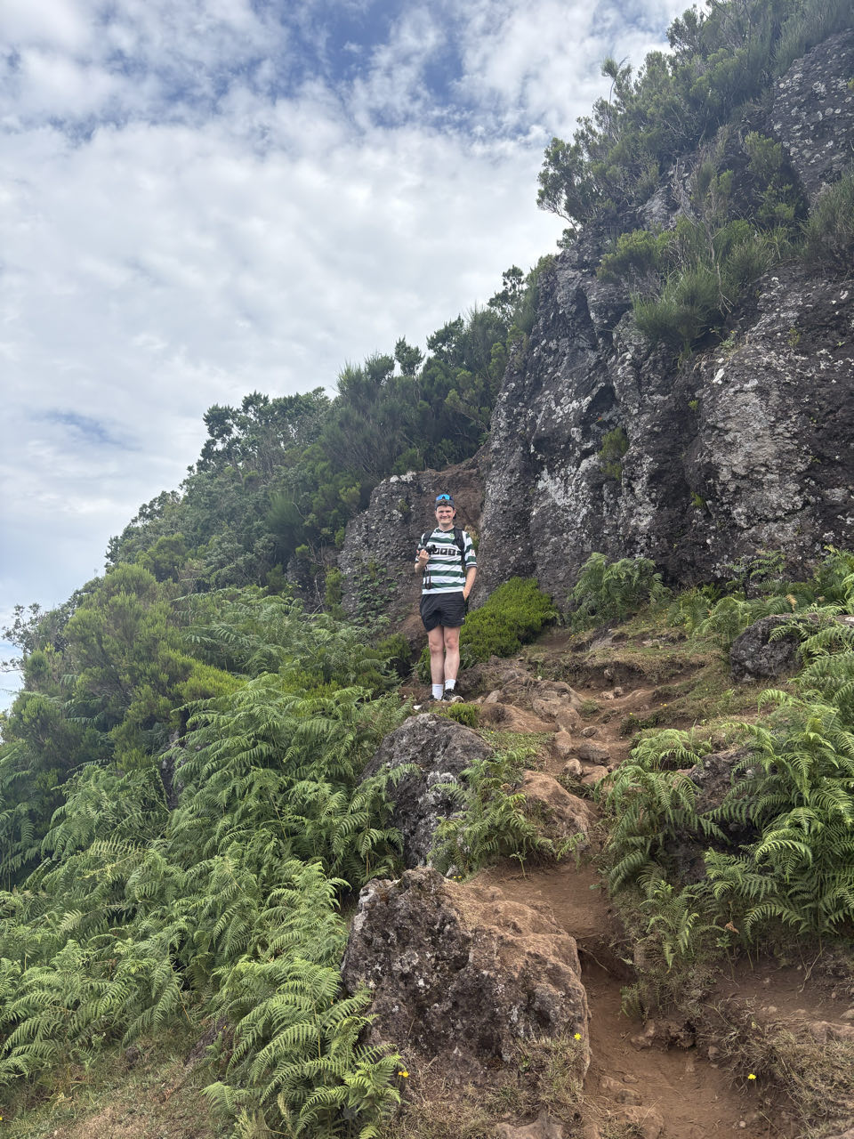 Fanal forest, beeld 15