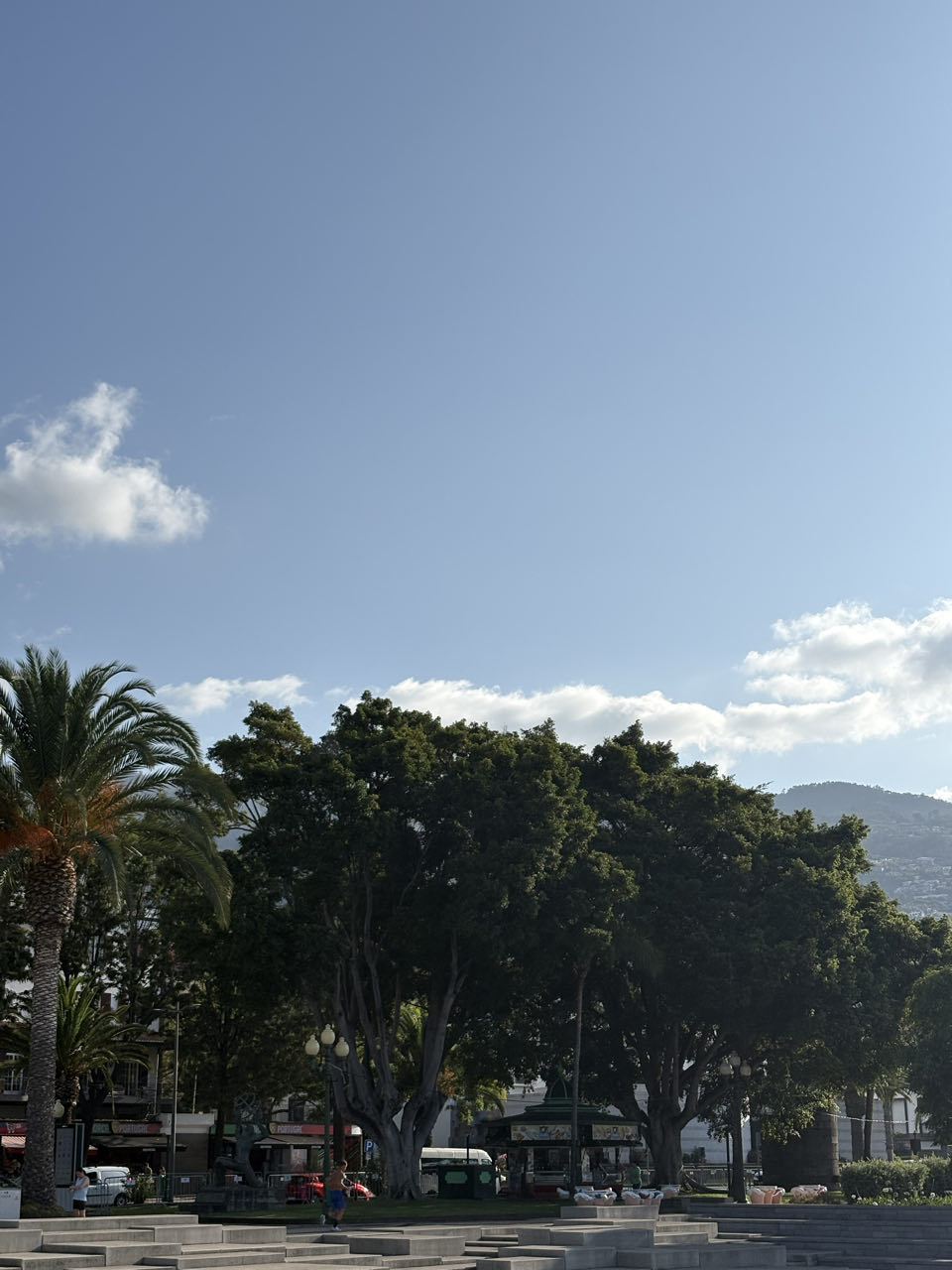Rondrijden door Madeira, beeld 379