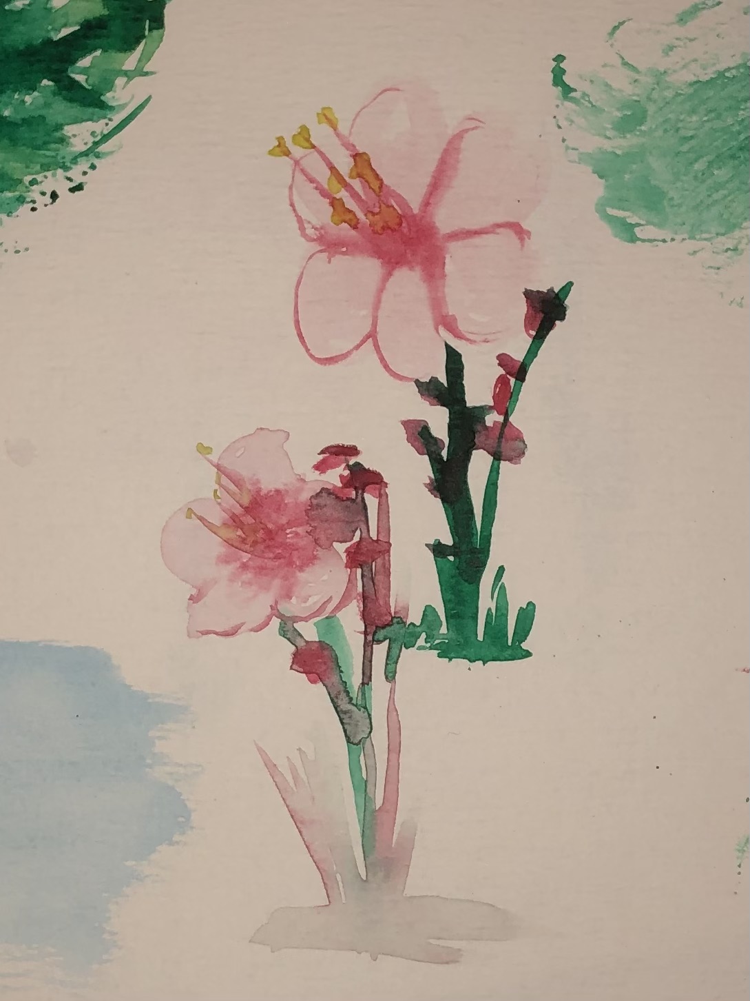 Bloemen